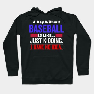 A Day Without Baseball is Like..Just Kidding I Have No Idea Hoodie